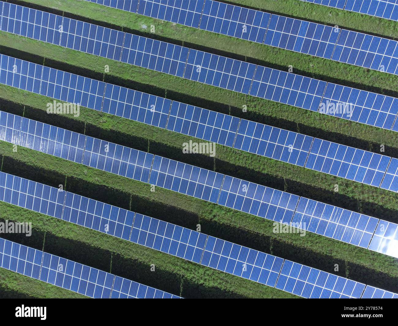 Drone view of a solar power plant on a sunny day. Solar farm system ...