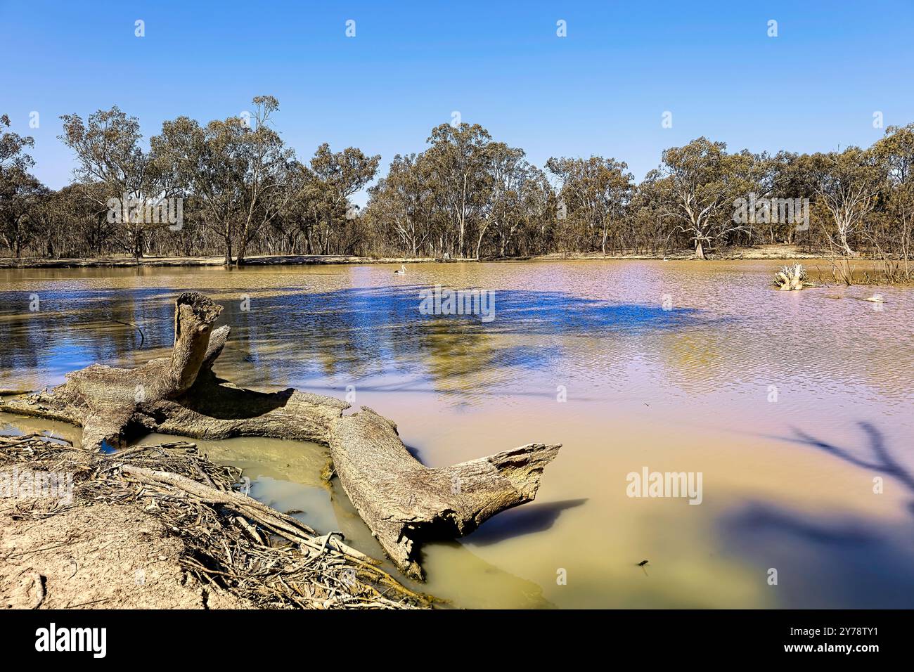 Western Victorian Rivers Victoria, australia, landscape hi-res stock photography and images - Alamy