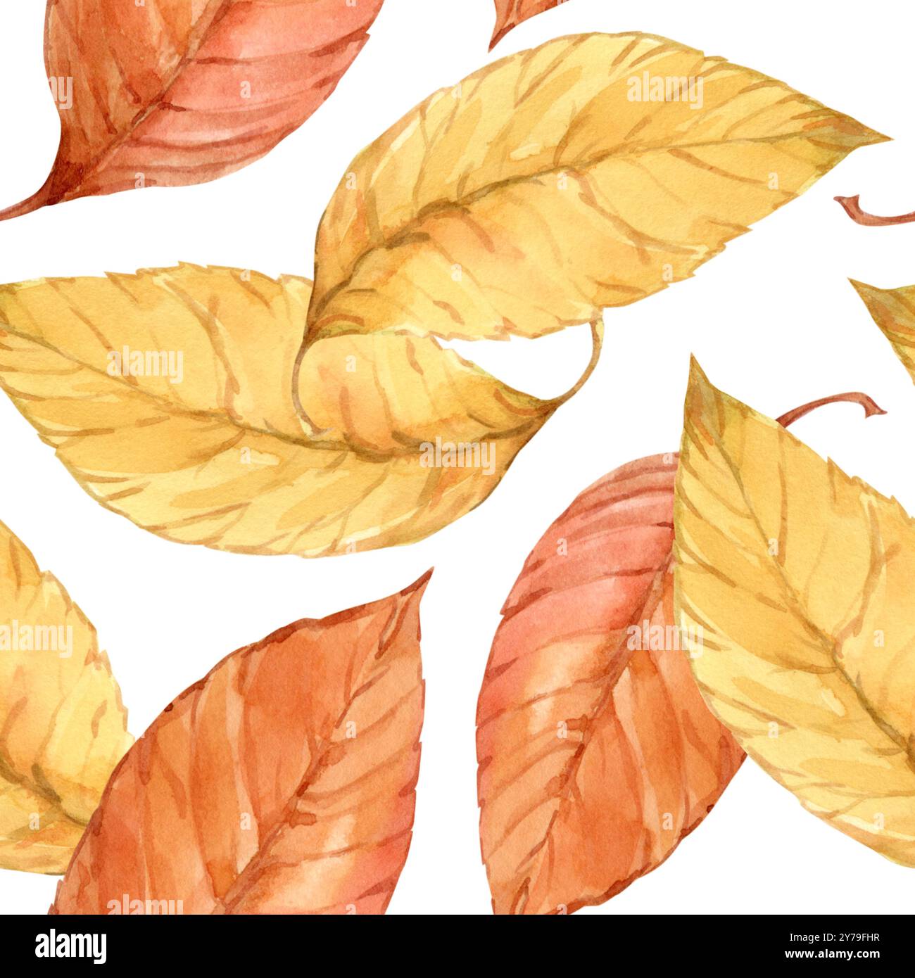 Seamless texture. Autumn leaves painted with watercolors on an isolated ...