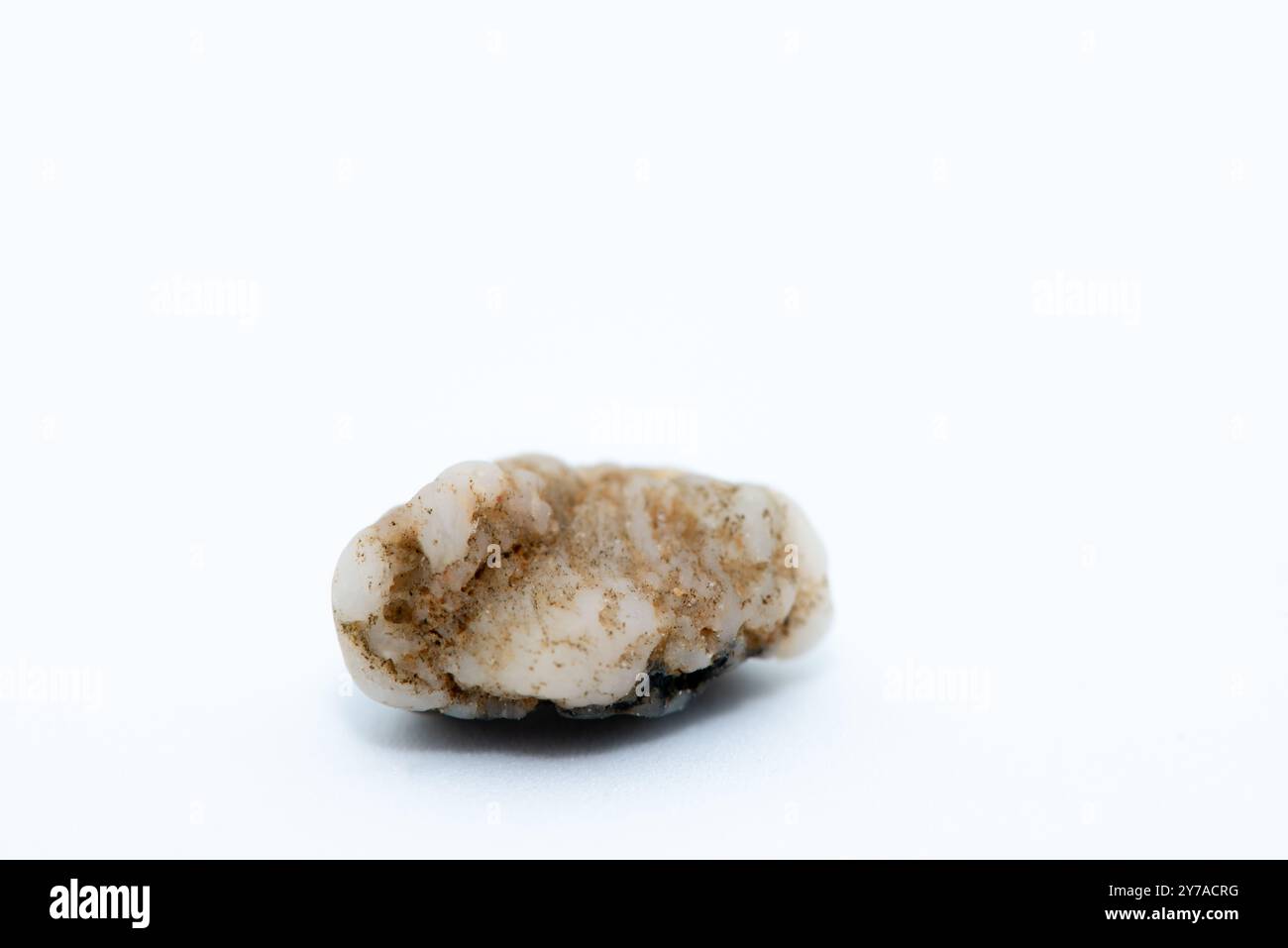 Intricate textures and patterns Cut Out Stock Images & Pictures Alamy