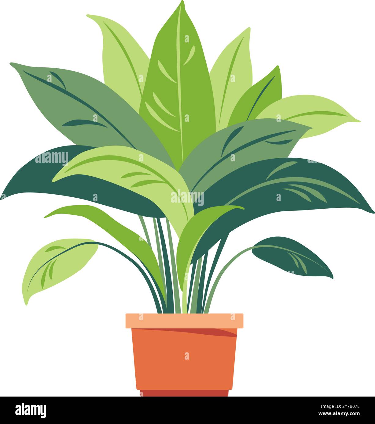 Home plant. Potted plant isolated on white. Flat. Vector illustration ...