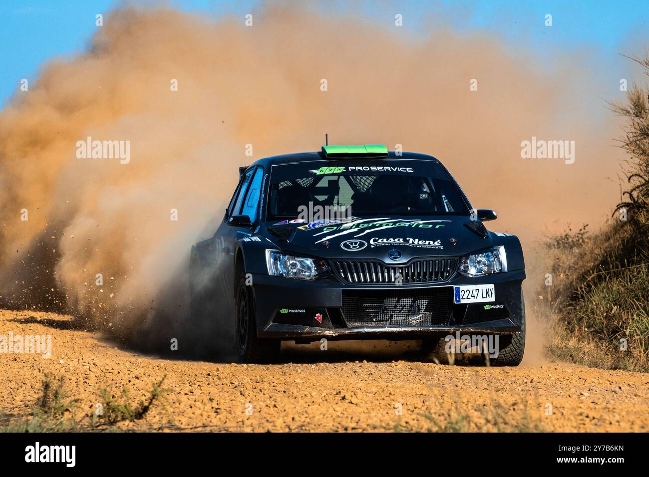 Rally car with dust hi-res stock photography and images - Alamy