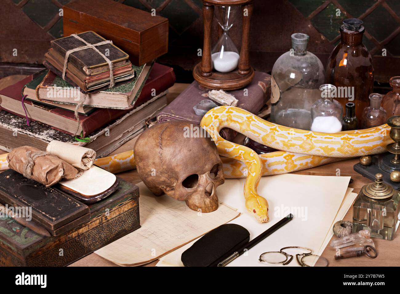 Alchemy still life with Lavender Tiger Albino python Stock Photo