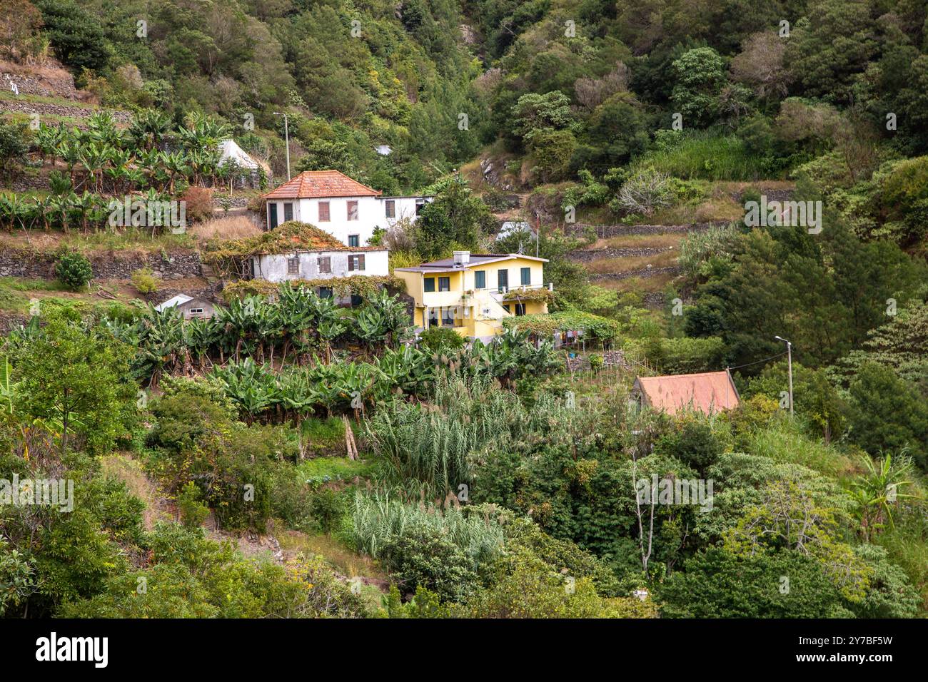 Terraced gardens on the hillside on the slopes of a mountain on the Portuguese Island of Madeira Stock Photo