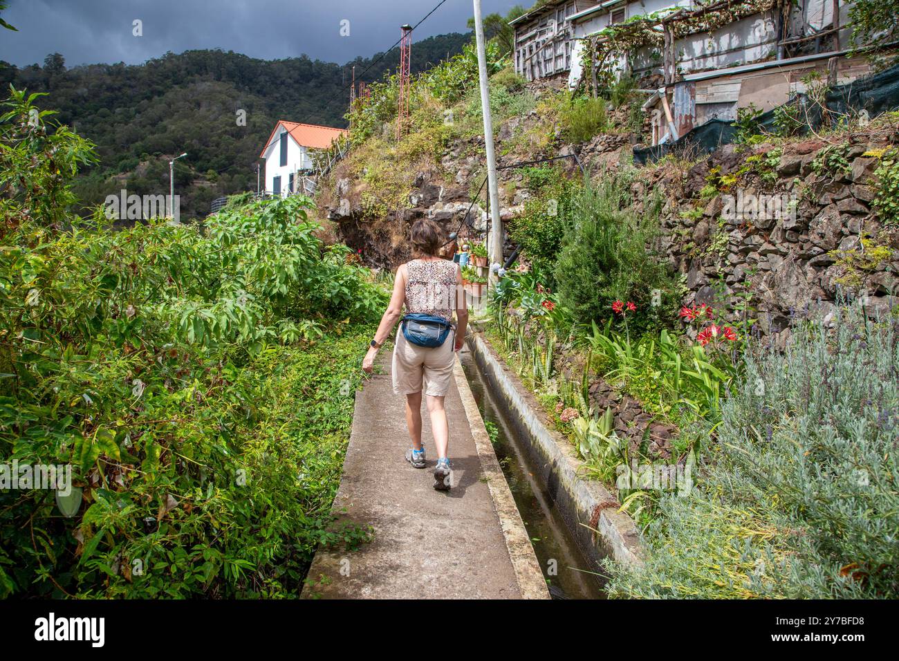 walking-along-the-levada-dos-maro-os-a-levada-on-the-portuguese-island