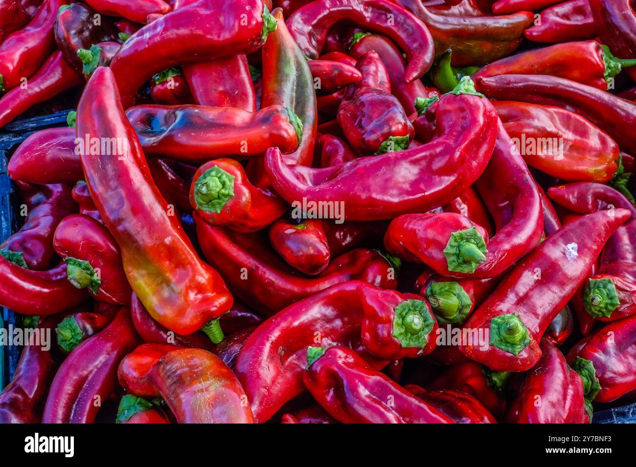 Red hot chili peppers ar a farmers market in France Stock Photo - Alamy