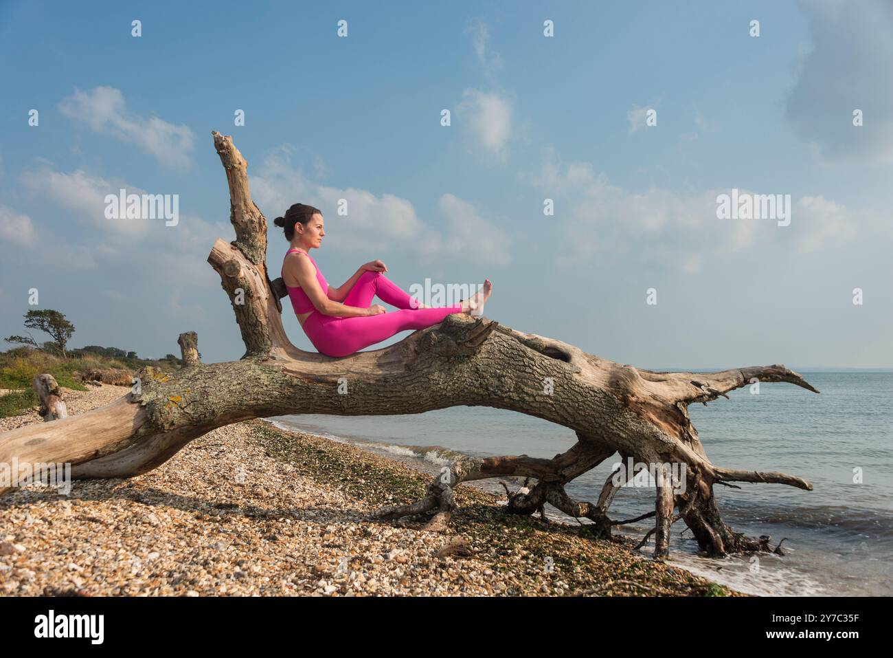 Female sitting on fallen tree trunk hi-res stock photography and images ...