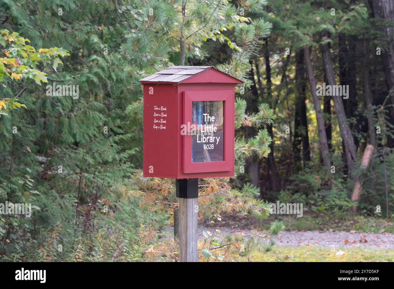 The Red Little Library Box for People to Take, Borrow or Donate a Book for Others. Posted on a Rural Roadside Amongst a Green Forest Stock Photo