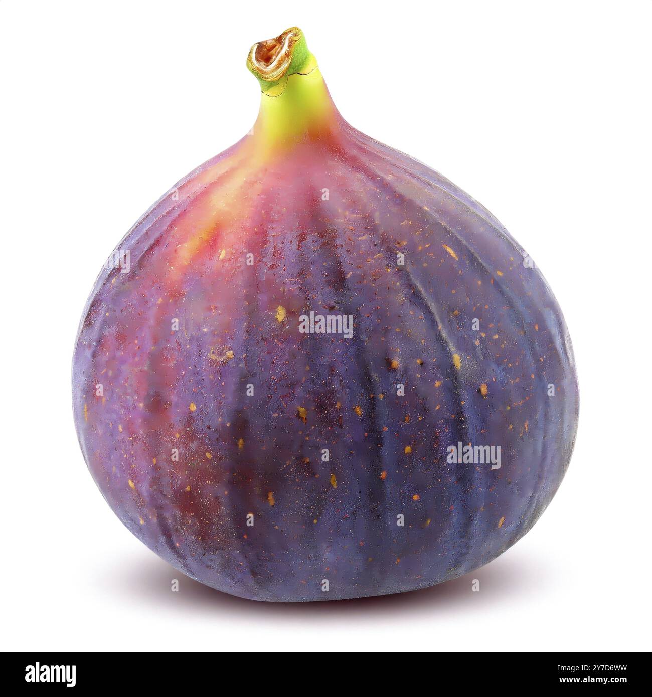 Figs isolated on white background. Clipping Path. Full depth of field Stock Photo