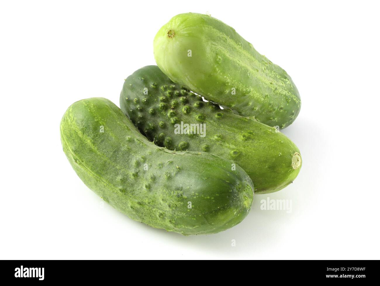 Three fresh cucumbers isolated on white background Stock Photo