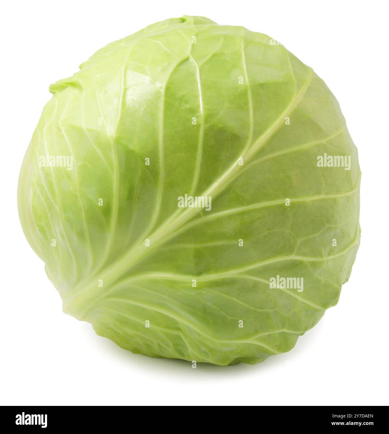 Whole white cabbage isolated on a white background Stock Photo - Alamy