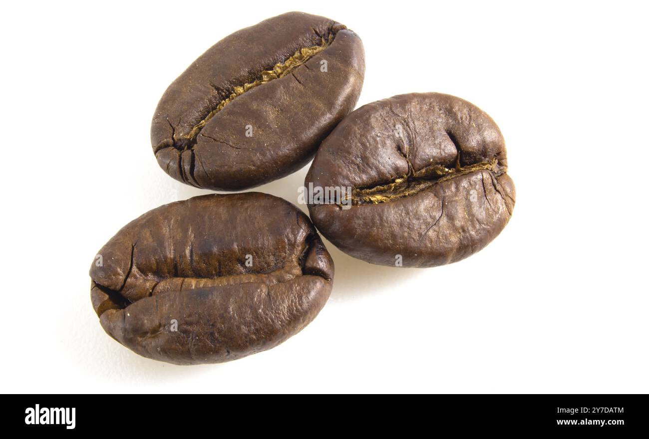 3 coffee beans on a white background. Arabica isolated close up Stock ...