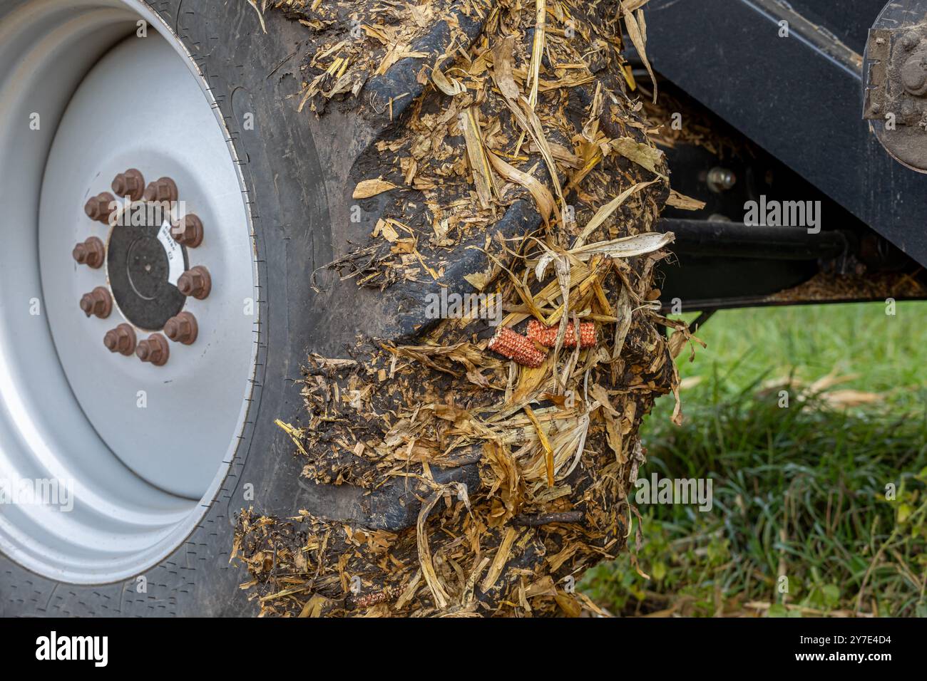 Combine tire with mud stuck in tread during corn harvest. Soil compaction, farming, and agriculture concept. Stock Photo