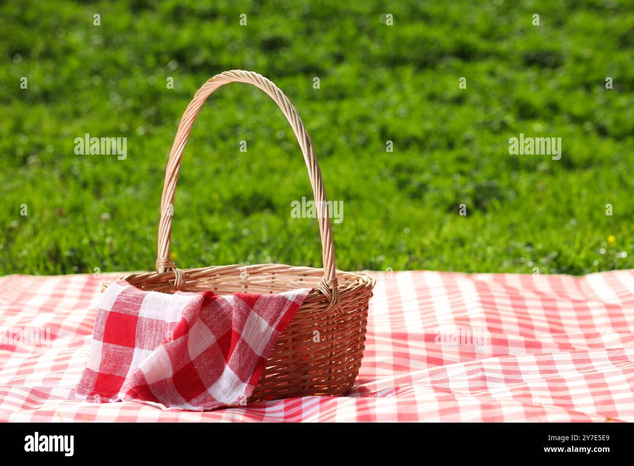 One picnic wicker basket with checkered napkin and blanket on green ...
