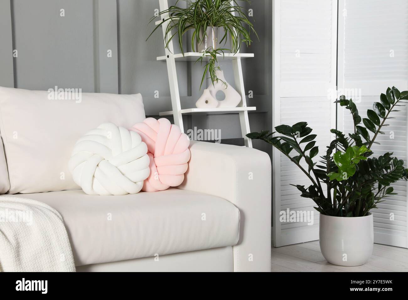 Beautiful living room interior with cozy sofa Stock Photo - Alamy