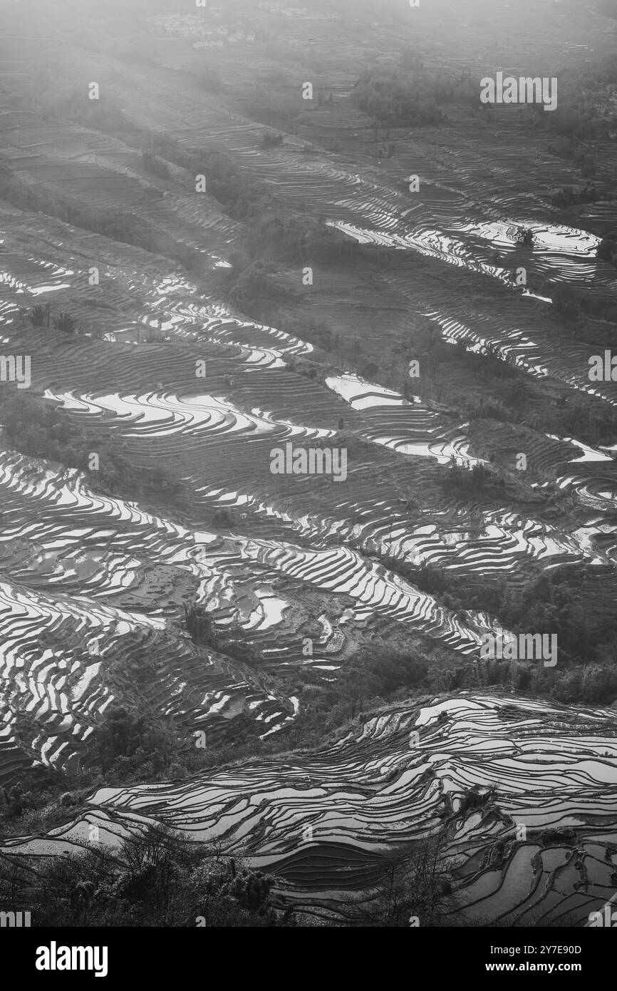 Vertical Close up on Bada rice terraces in Yunnan, China. Background image with copy space for text Stock Photo