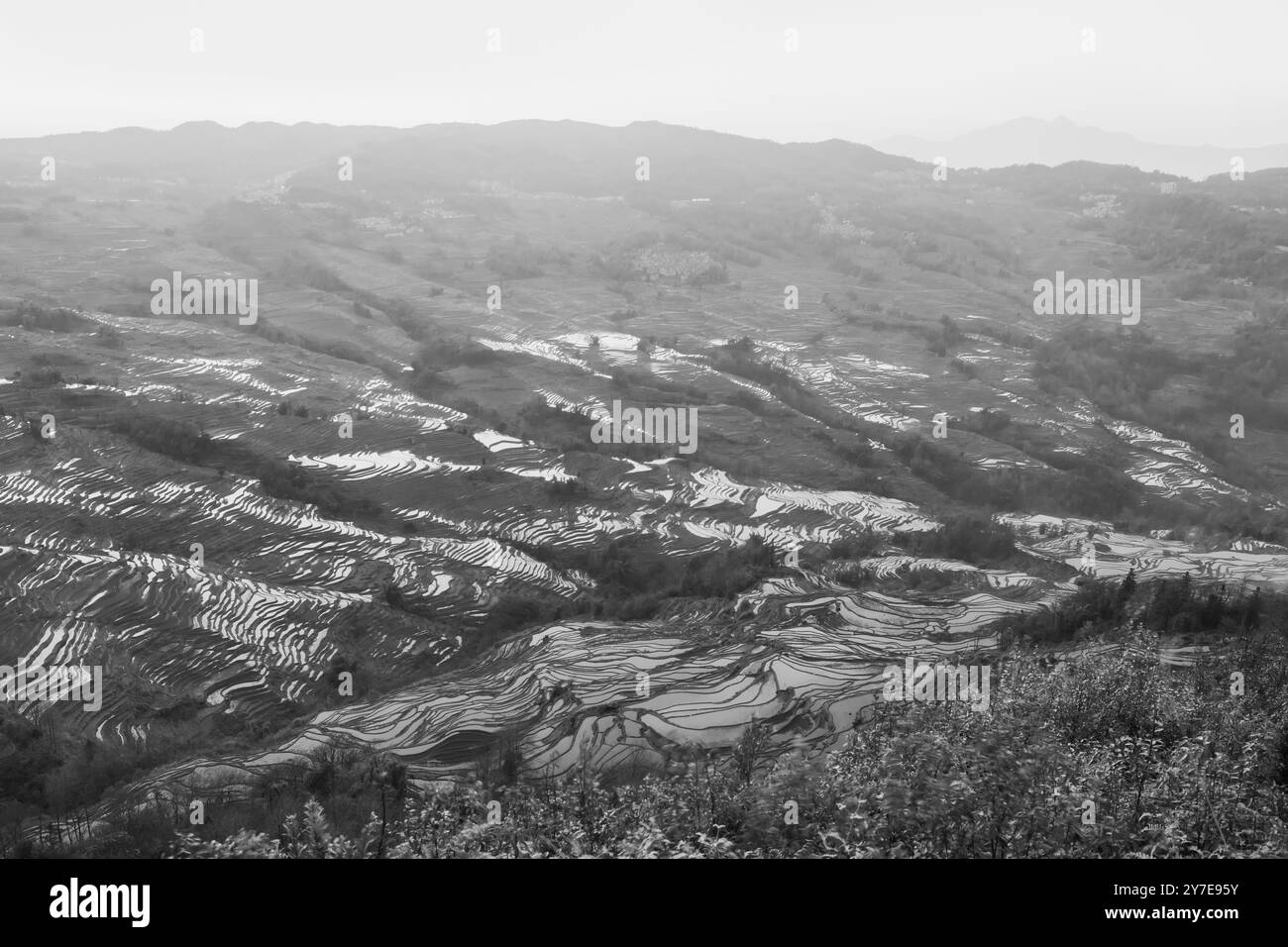 Yuanyang rice terrace from Bada scenic area in Yunnan province, China. Close up, sunset picture with copy space for text Stock Photo