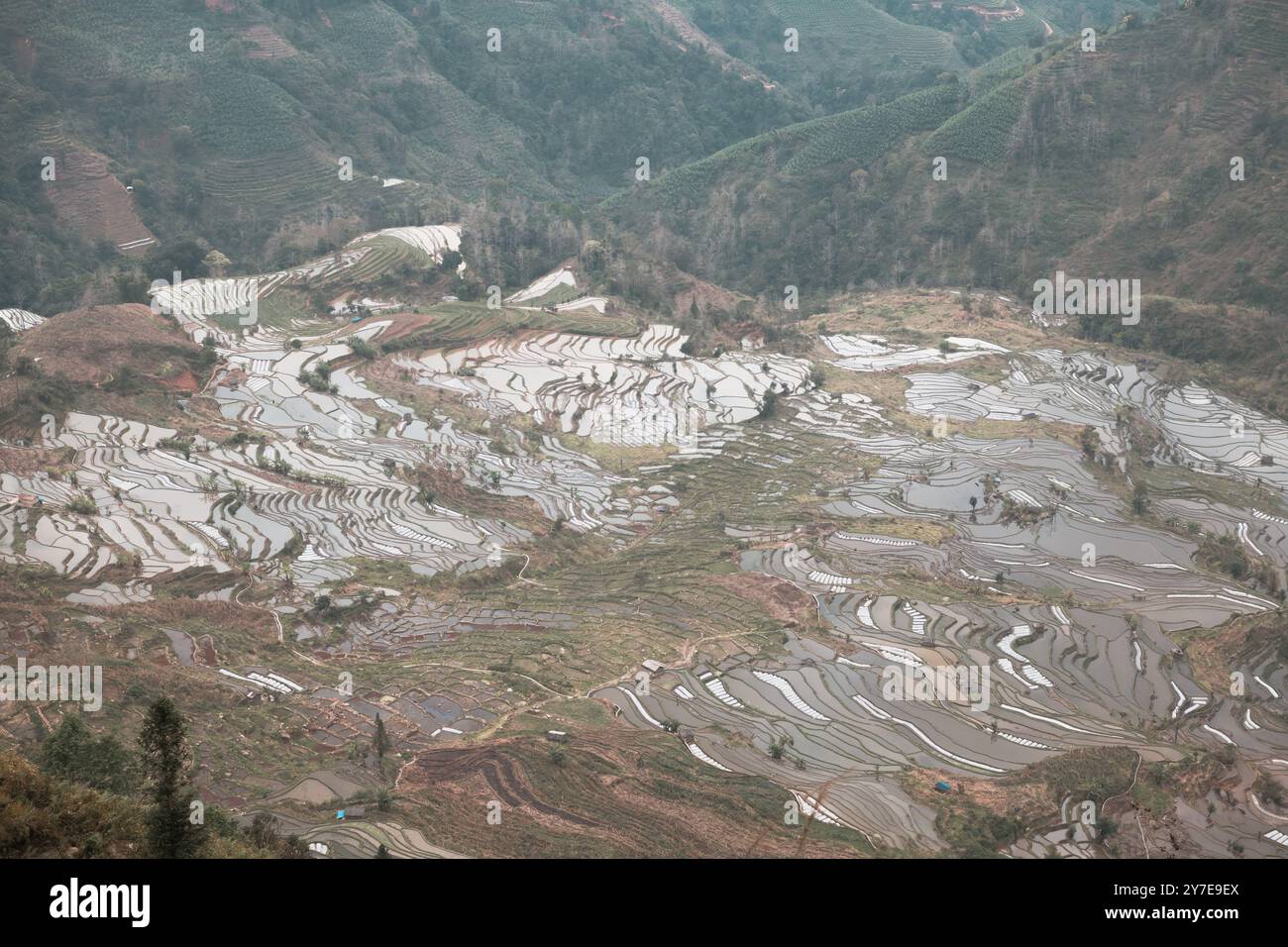 Close up on the beautiful layers of Laohuzui terraces in Yuanyang ...