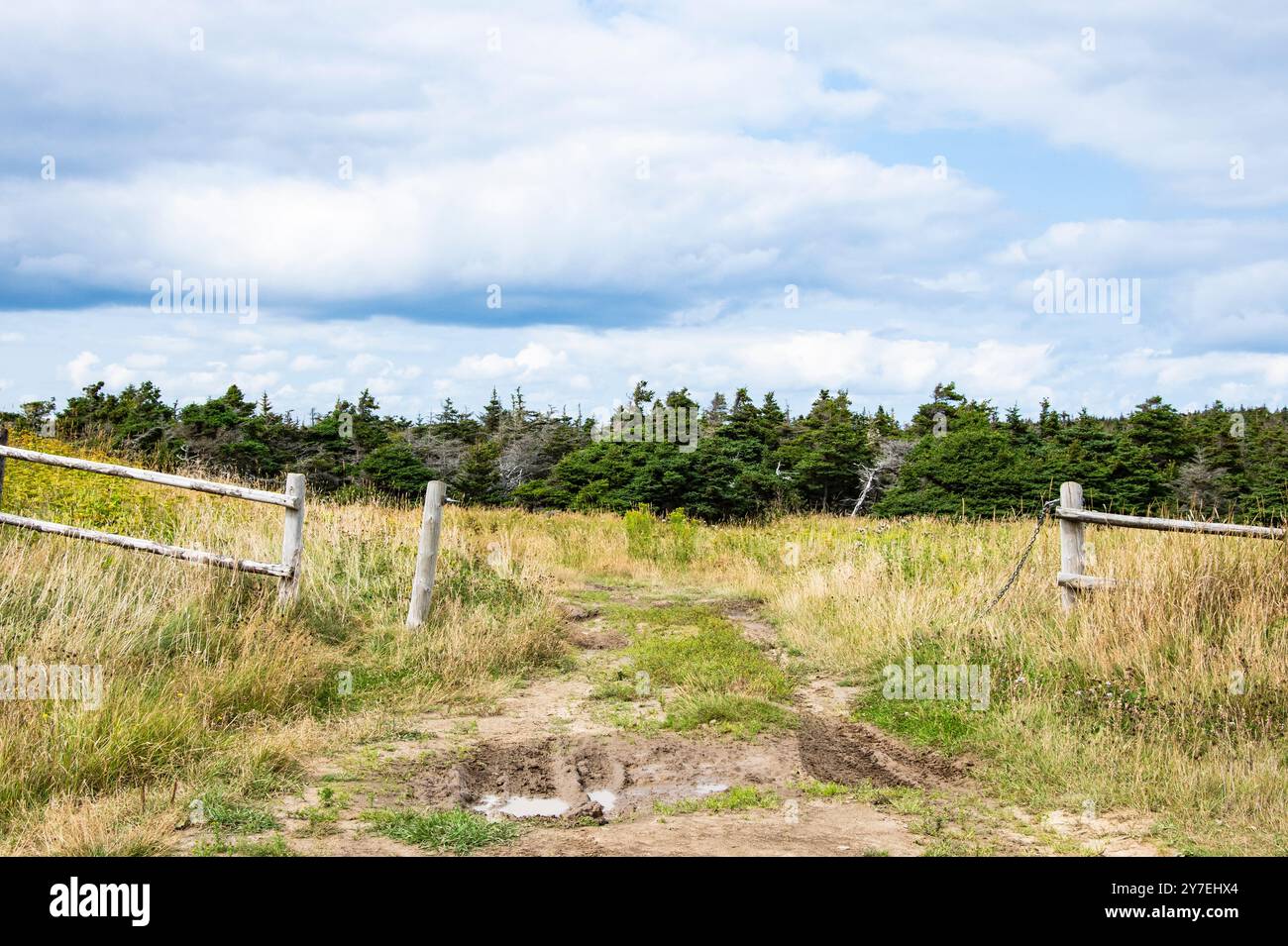 Trail to the Bell on Bell Island, Newfoundland & Labrador, Canada Stock Photo