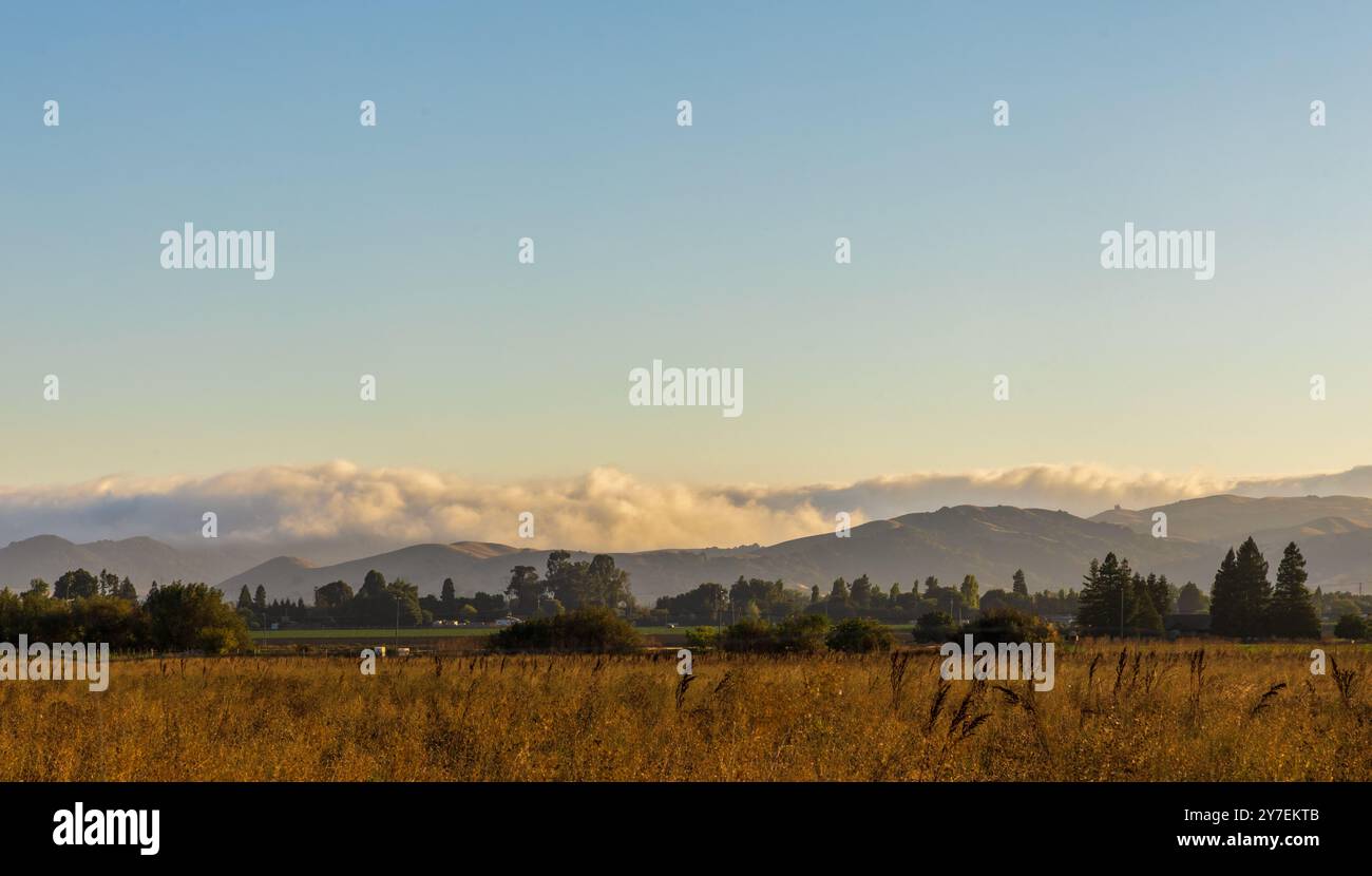 Cali Countryside California corn irrigation hi-res stock photography and images - Alamy