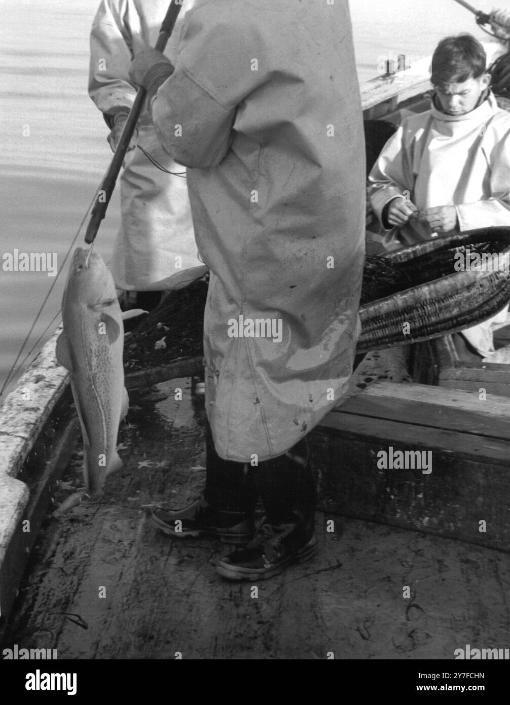 Line Fishermen aboard "Emulate II" - Gourdon, Kincardineshire - 19th ...