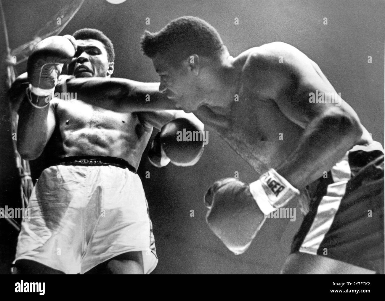 Floyd Patterson (right) the challenger, nearly connects with a right which brushes past Cassius Clay's chin in the eighth round of their title bout in Las Vegas, Nevada. Clay retained his title after the fight was stopped on a technical knockout in the 12th round. 22nd November 1965. Stock Photo