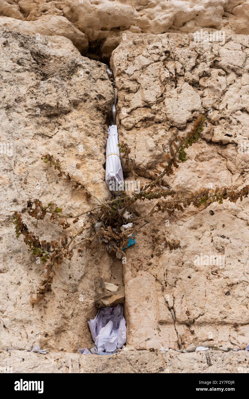 Tiny slips of paper with written prayers to God are inserted into the cracks of the Western Wall in Jerusalem, Israel. Stock Photo