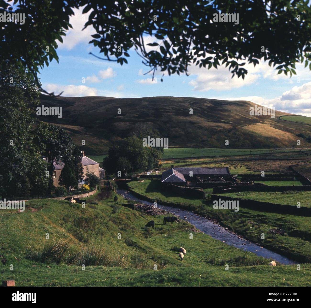 1970s river scene hills trees hi-res stock photography and images - Alamy