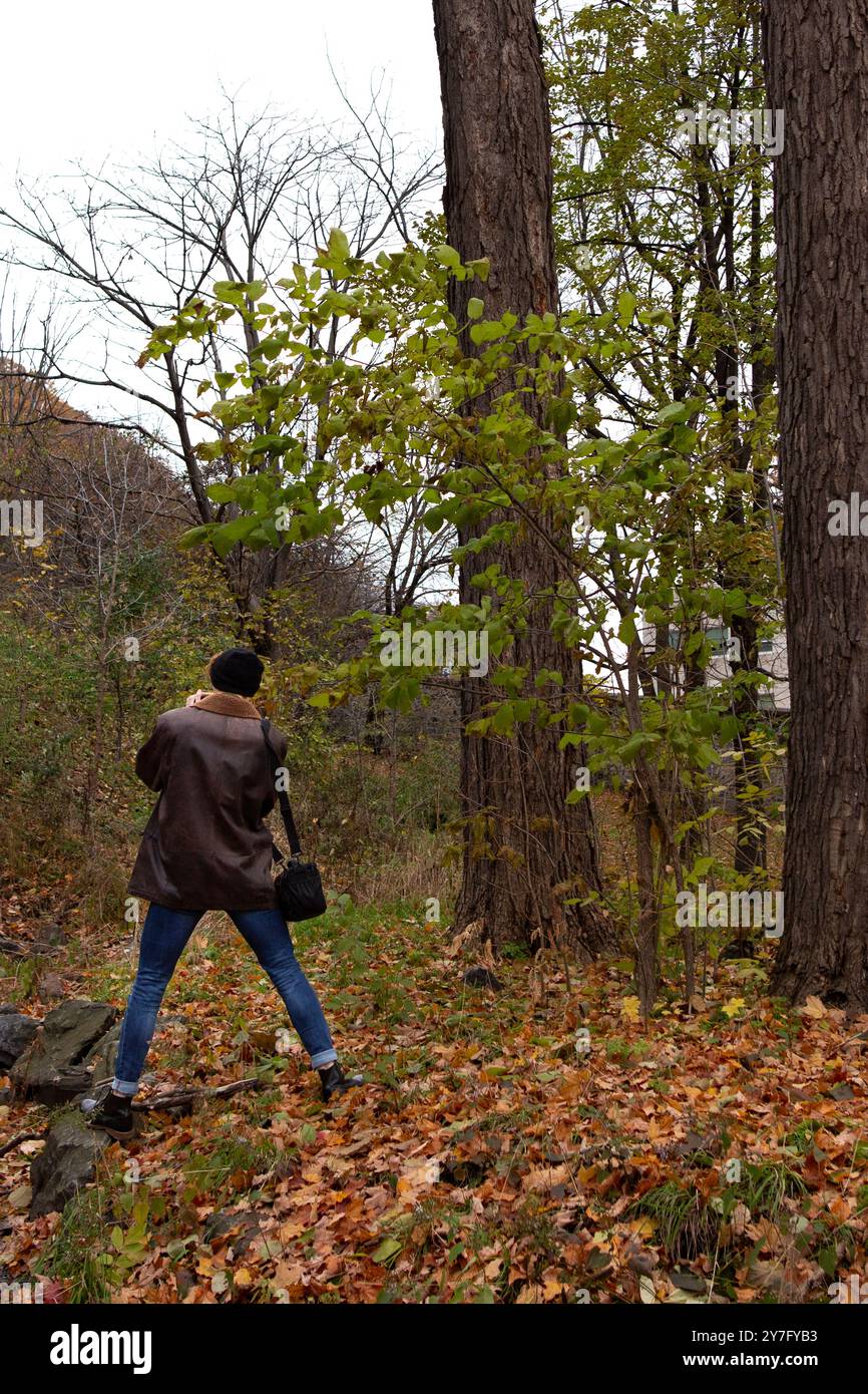 Exploration exploring area hi-res stock photography and images - Alamy