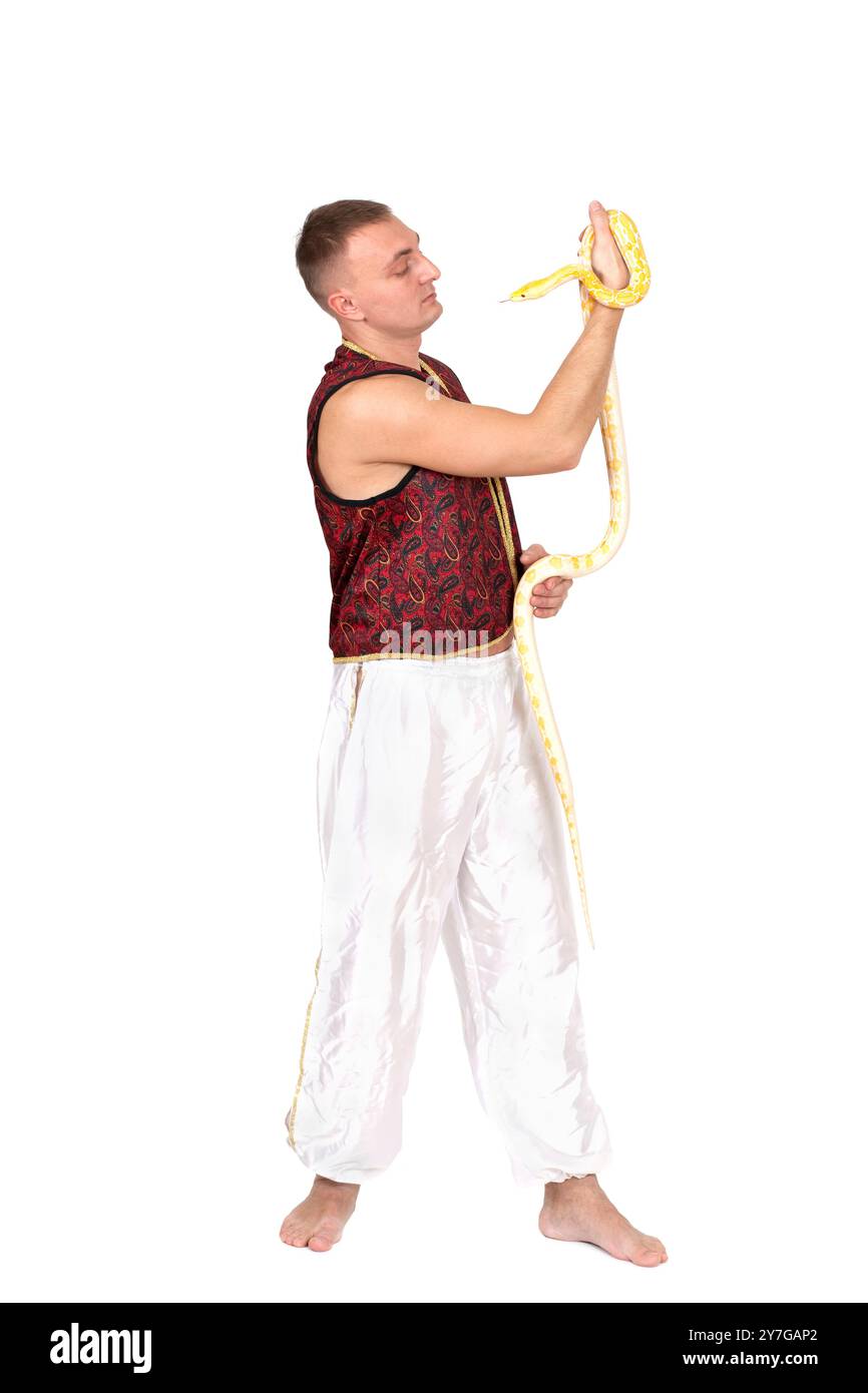 Tiger albino python isolated hi-res stock photography and images - Alamy