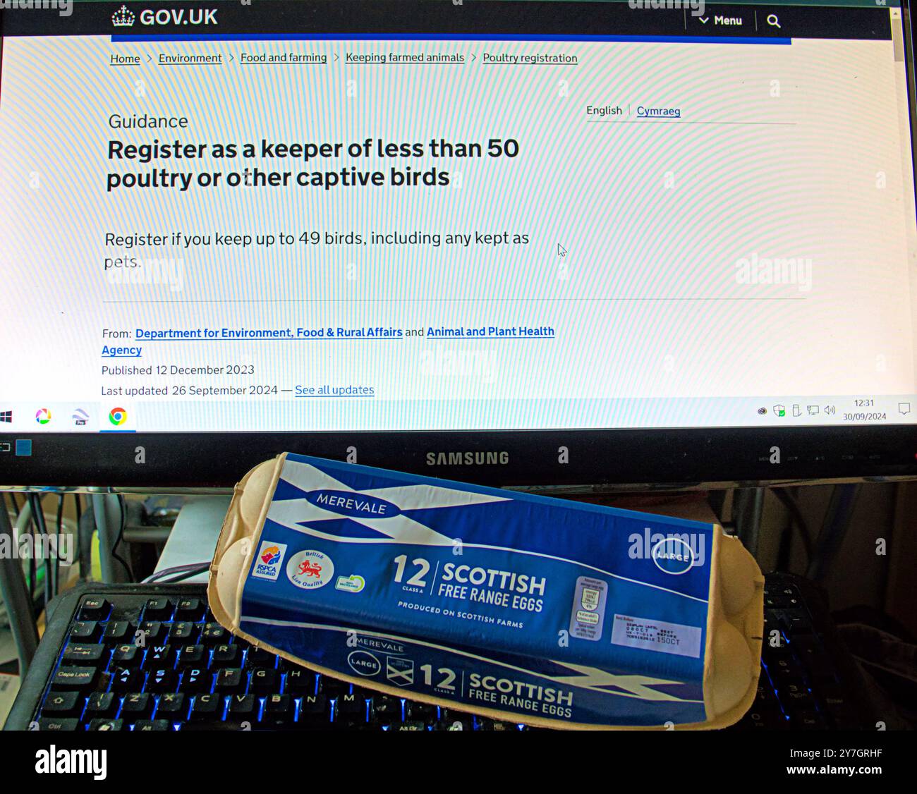 Glasgow, Scotland, UK. 30th September, 2024.  A microcosm of the country in the compulsory registration of chickens  by october the first finding much amusement and disdain on the internet as a sign of wider government interference in private life. Credit Gerard Ferry /Alamy Live News Stock Photo