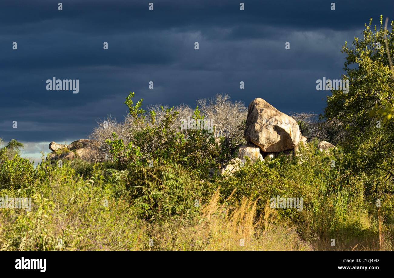 Mineral water breaks through rocks hi-res stock photography and images ...