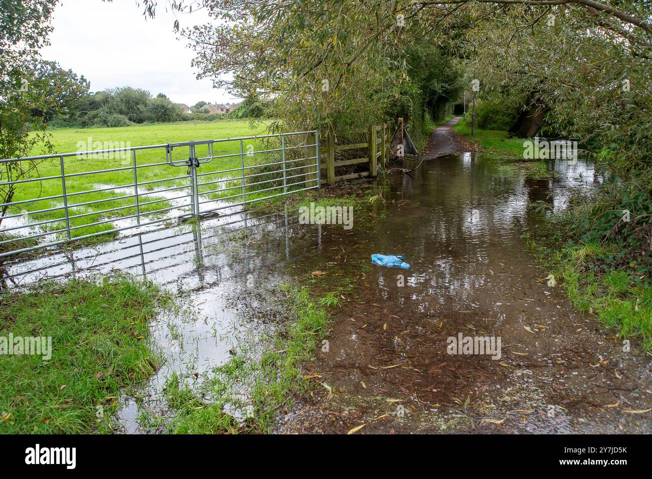 Eton Wick, Windsor, Berkshire, UK. 30th September, 2024. The footpath between the village of Eton Wick and Slough next to Roundmoor Ditch in Berkshire is flooded again. Thames Water were discharging storm water into Roundmoor Ditch over the weekend for 21 hours. Roundmoor Ditch is overflowing onto the public footpath and into nearby fields. Credit: Maureen McLean/Alamy Live News Stock Photo