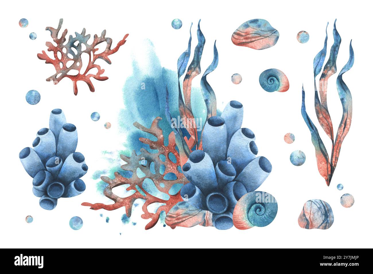 Underwater world clipart with sea animals, shells, coral, sponge and ...