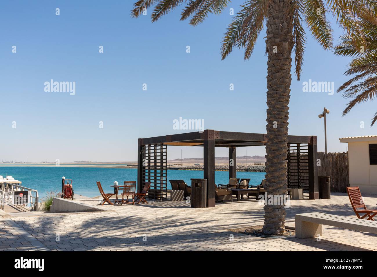 sir bani yas abu dhabi