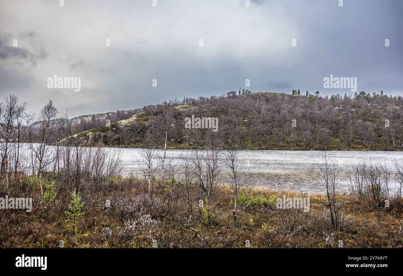Norway Russia Observation Hi res Stock Photography And Images Alamy norway-russia-observation-hi-res-stock-photography-and-images-alamy
