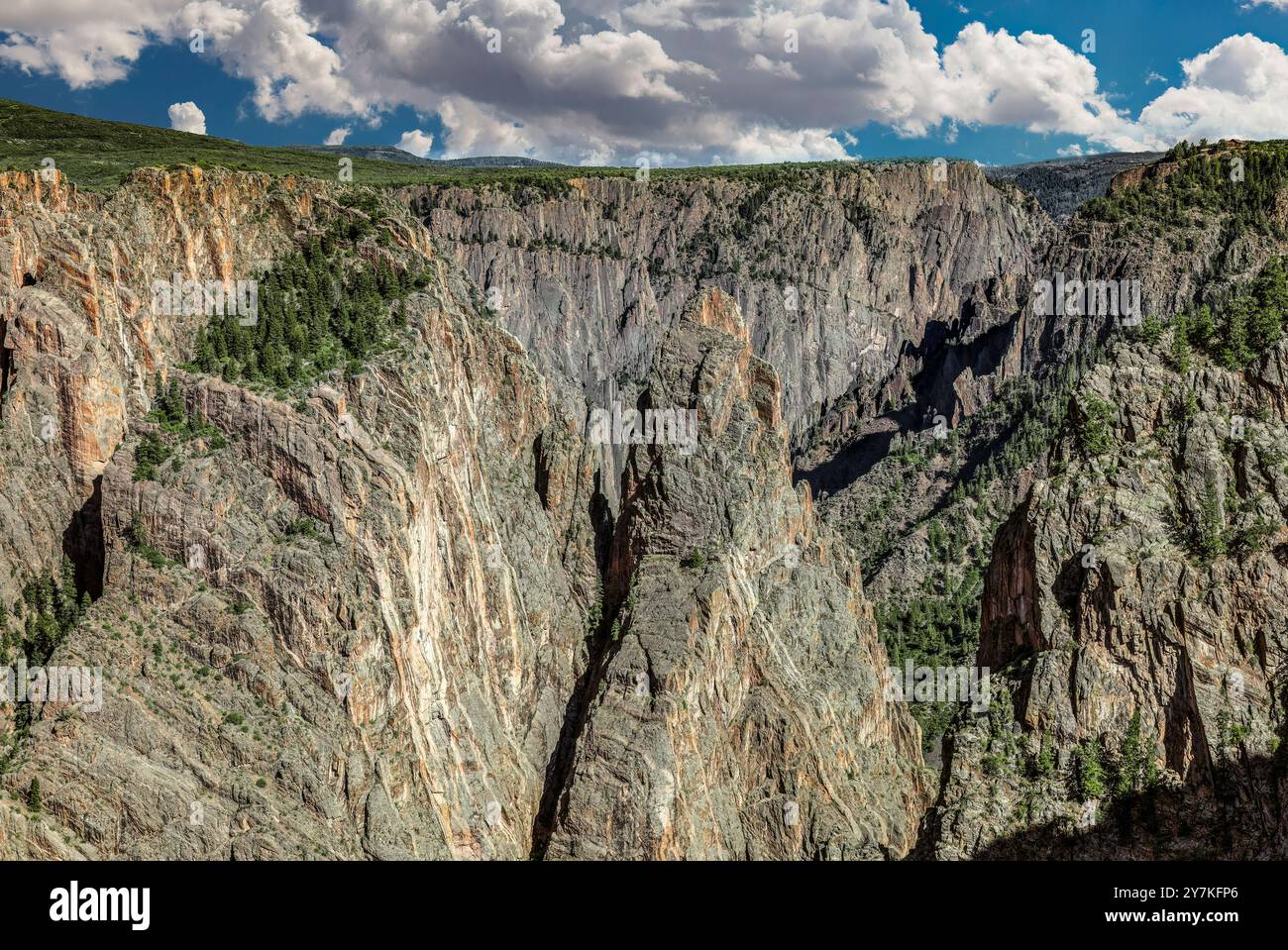Metamorphic Geology, Black Canyon of the Gunnison, Colorado Stock Photo