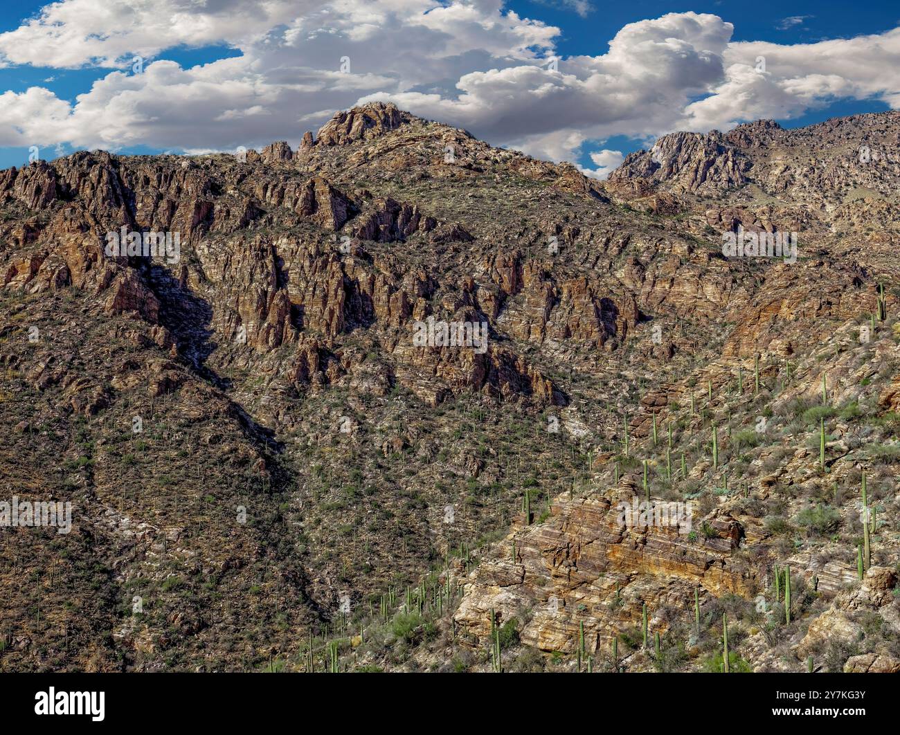 Sabino Canyon Geology, Tucson, AZ Stock Photo