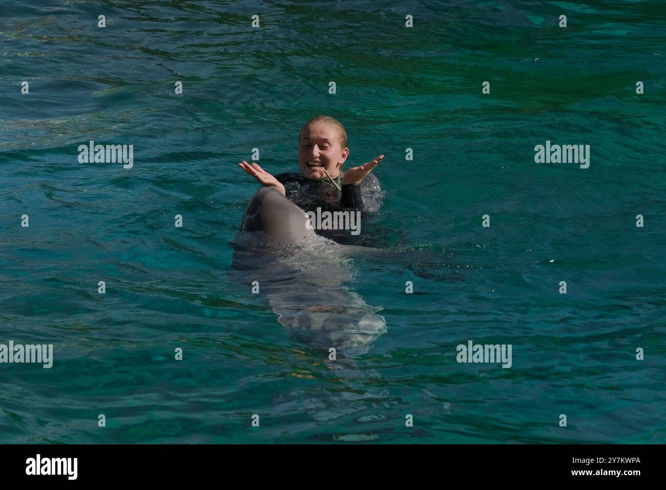 Lively Dolphin Show: Trainers and Dolphins at Marine Land, South of France Stock Photo