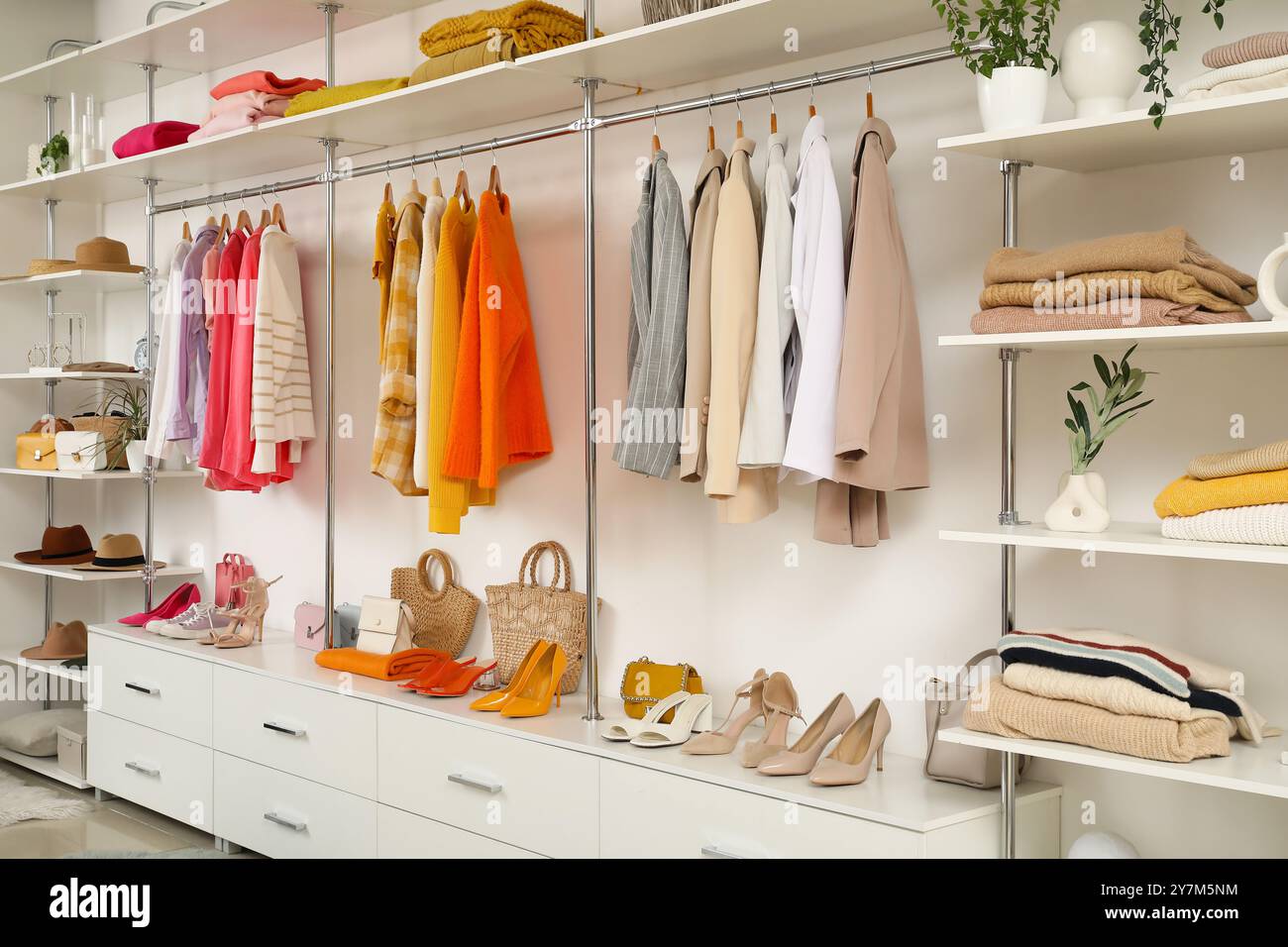 Wardrobe with shelves, female clothes and accessories in walk-in closet Stock Photo