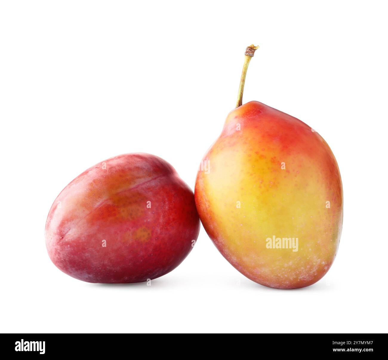 Two fresh ripe plums isolated on white Stock Photo - Alamy
