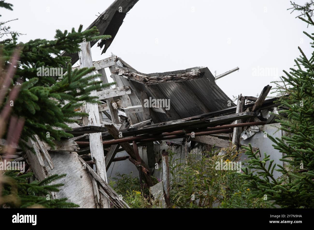 Collapsed buildings at the abandoned dilapidated Central Swine Breeding ...