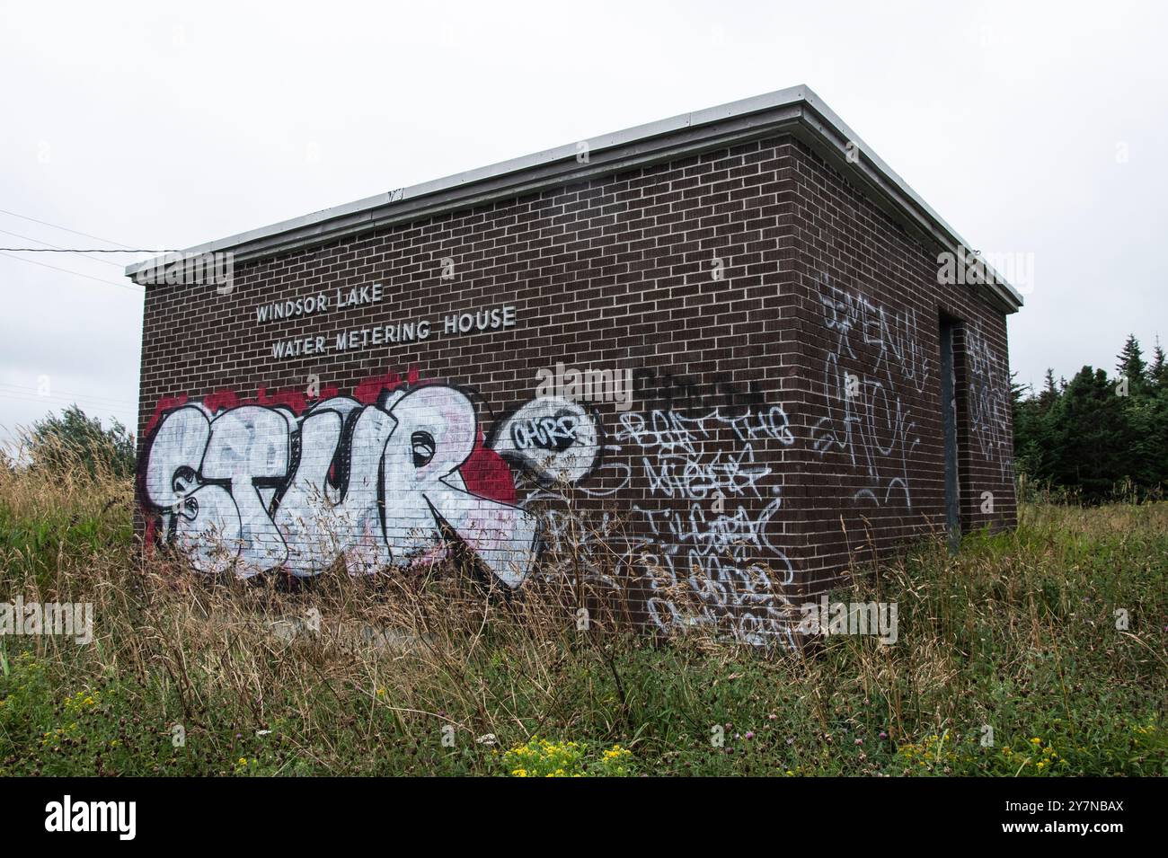 Stur graffiti tagged on Windsor Lake Water Metering House in St. John's ...