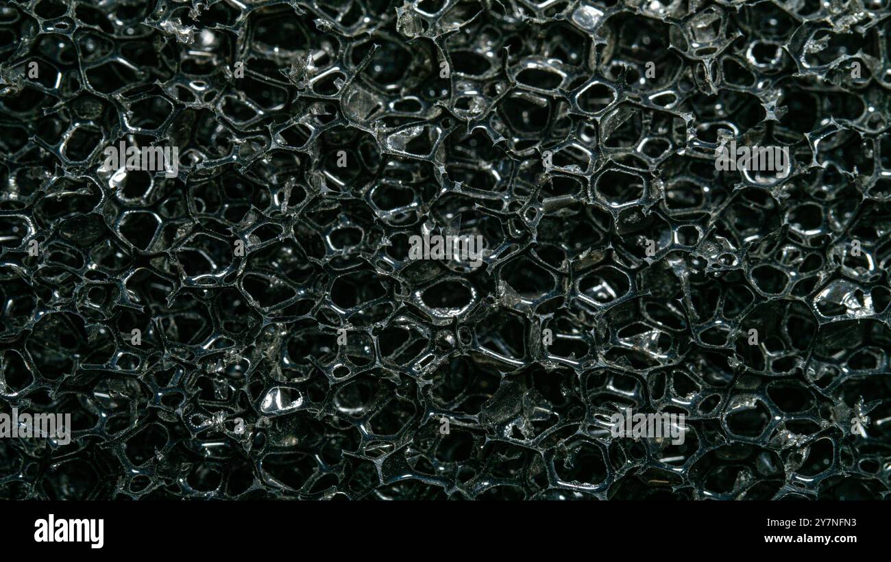 sponge closeup , background, texture, macro view Stock Photo