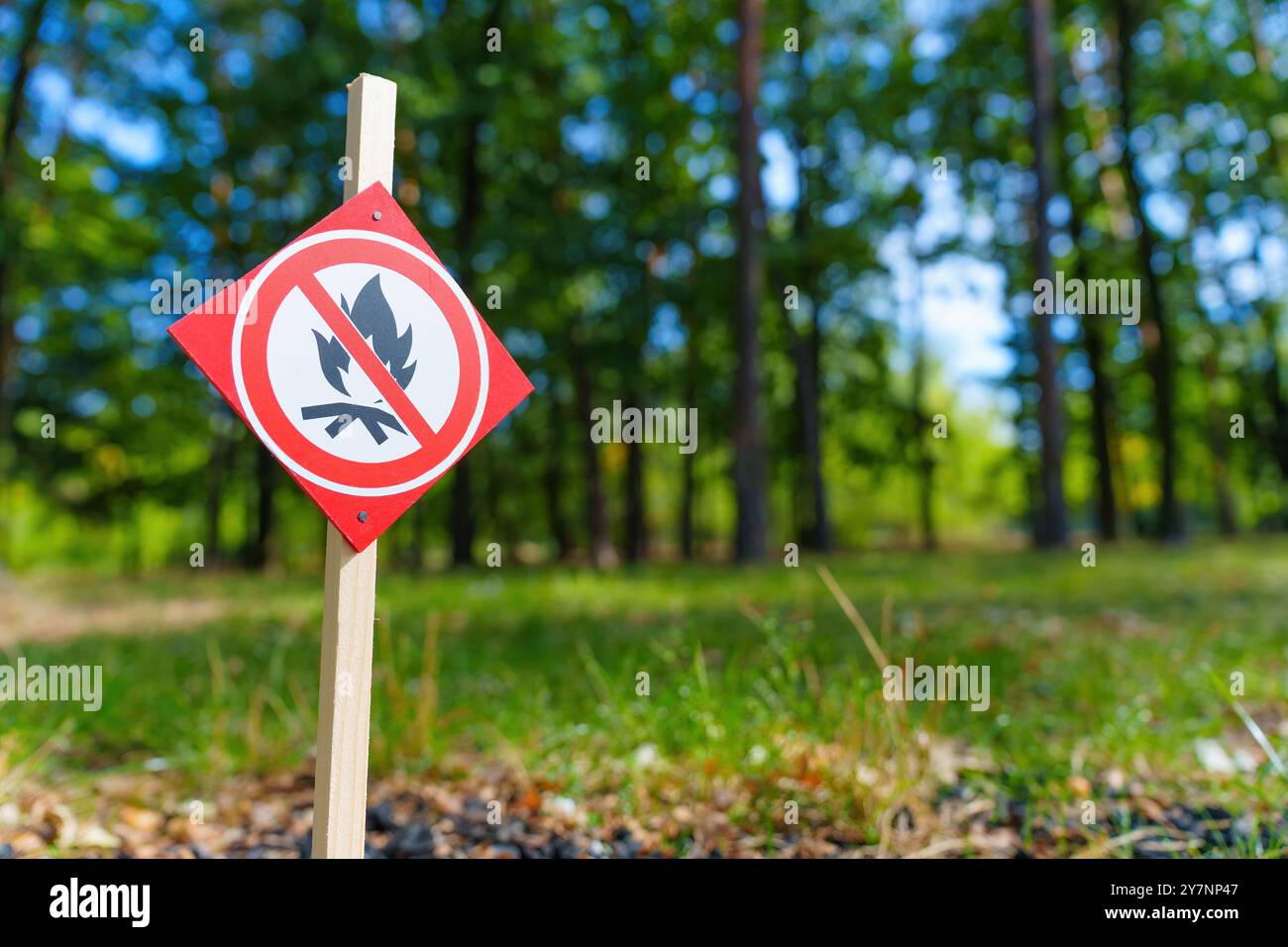 Bright red no campfires sign stands tall in vibrant forest backdrop ...