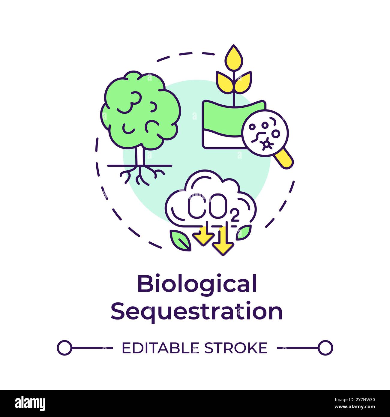 Biological sequestration multi color concept icon Stock Vector
