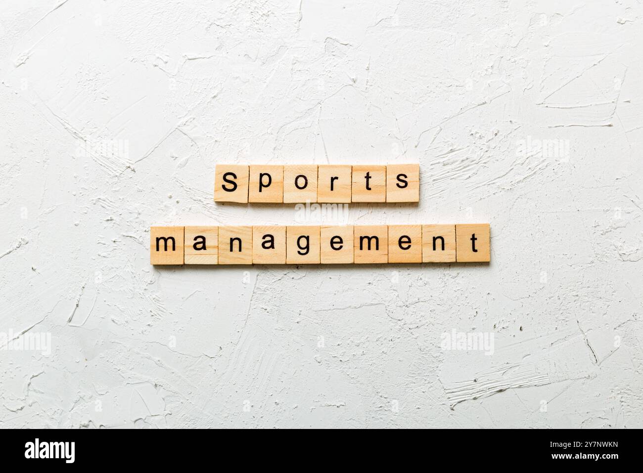 sports management word written on wood block. sports management text on ...
