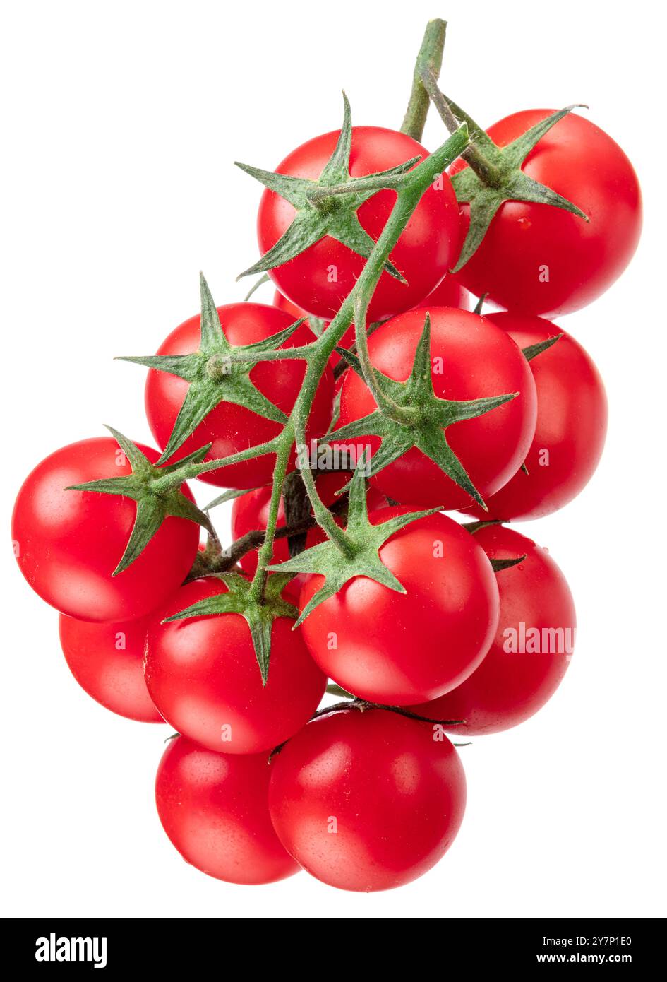 Clusters of ripe cherry tomatoes isolated on white background Stock ...