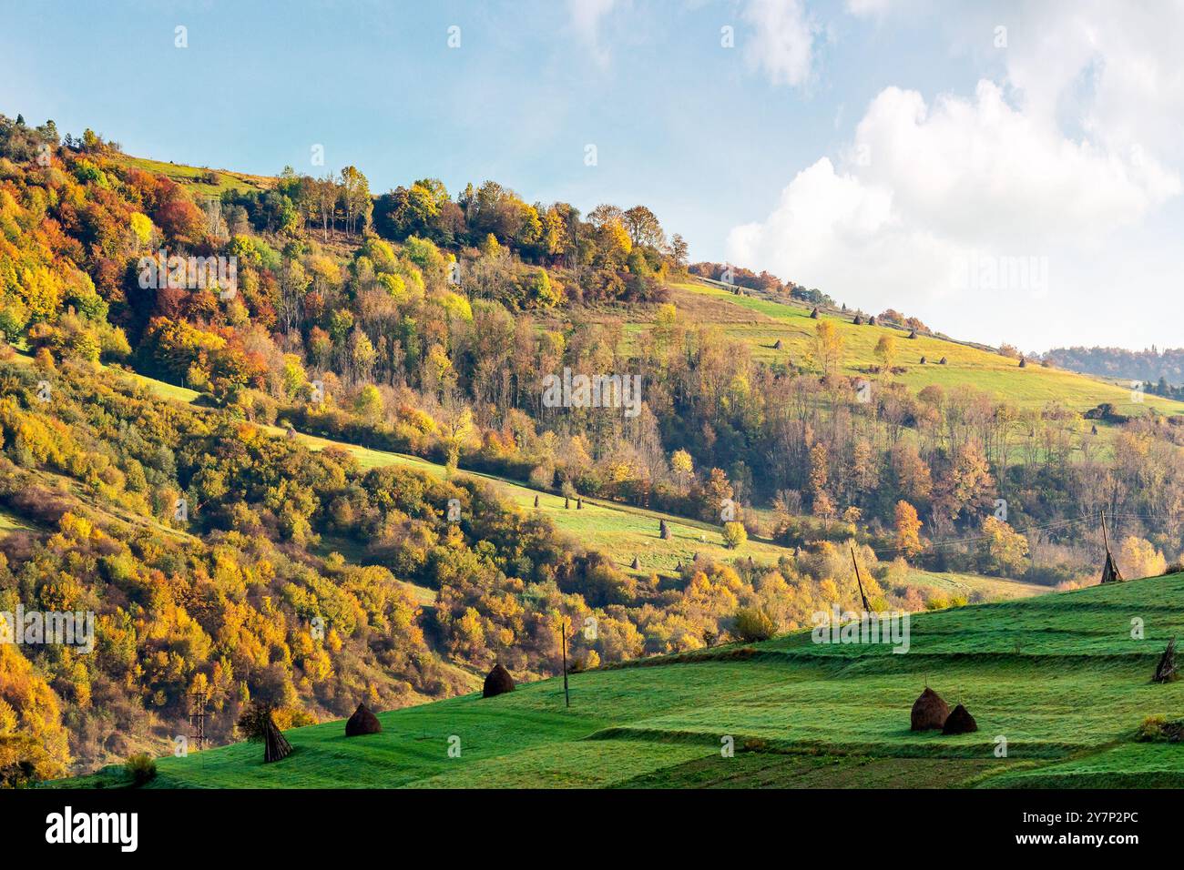 rural landscape in mountains. sunny autumn day. carpathian countryside of ukraine. scenery with haystacks on the slope. fluffy clouds on the sky Stock Photo