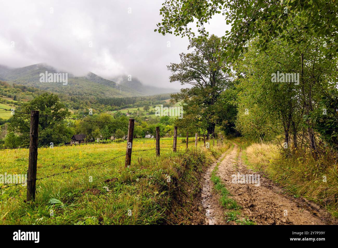 dirt road through rural landscape in autumn. rainy weather. mountainous carpathian countryside in fall season. overcast sky. provincial outskirts of u Stock Photo